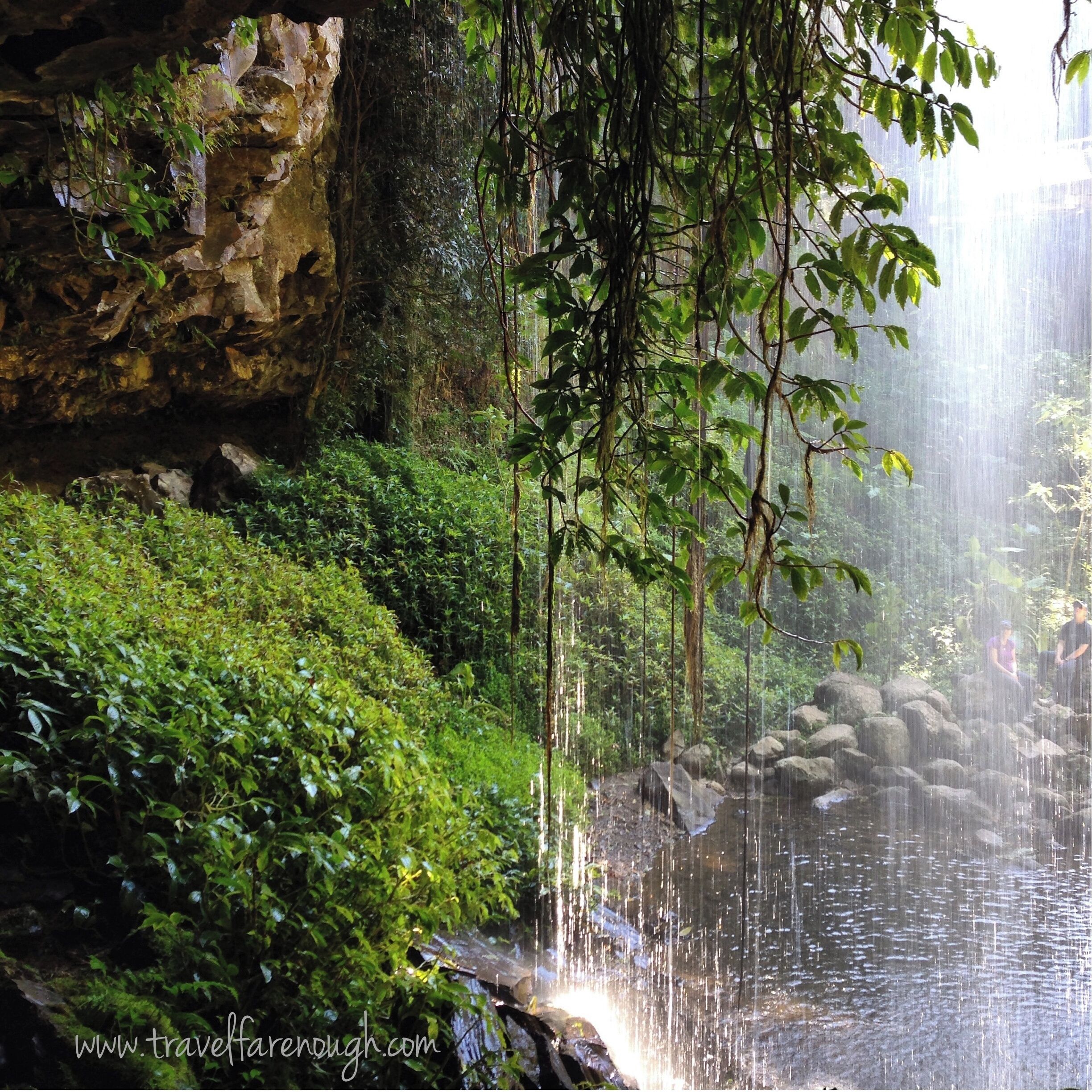 Oh, this is a trail worth hiking!  On our Pacific Wanderings Road Trip, from Sydney to Byron Bay, we diverted to the mountains from the coast at Coffs Harbour to explore Dorrigo.  Such a great place.   #roadtrip  #dorrigo