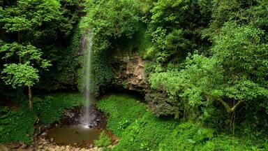 Dorrigo Mountain which includes a cascade and forests