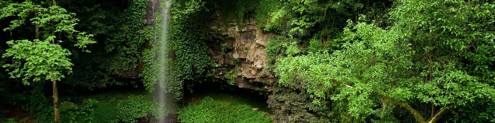 A waterfall cascading into a small pond surrounded by dense green foliage.