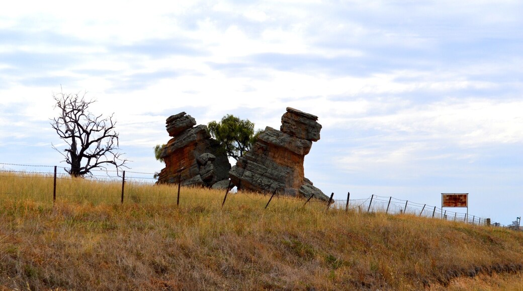 Nature at its best... This was discovered on our way out to Central NSW on a property by the road. A large split rock and a tree growing in the middle. Loved it!