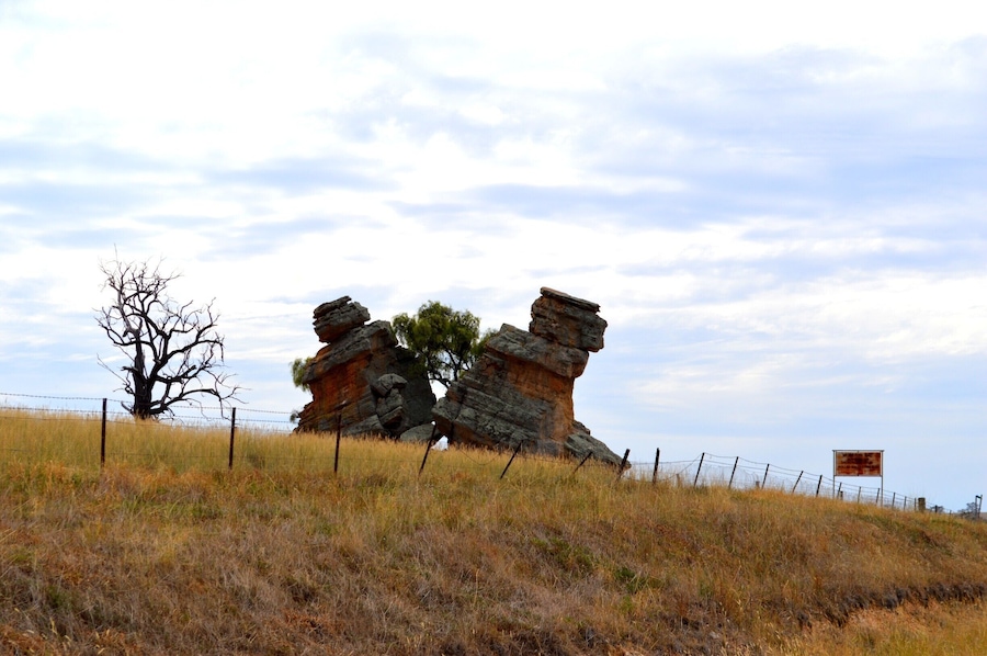 Nature at its best... This was discovered on our way out to Central NSW on a property by the road.  A large split rock and a tree growing in the middle.  Loved it!