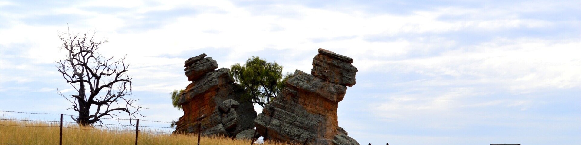 Nature at its best... This was discovered on our way out to Central NSW on a property by the road. A large split rock and a tree growing in the middle. Loved it!