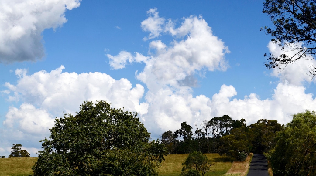 A rural road flanked by trees and fields under a partly cloudy sky.