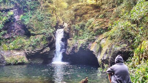 Potoroo Falls in Tapin Tops National park is so beautiful. A little walk in to the falls. Very easy walk but a couple of shallow river crossings so you will get wet feet but when you come around the bend and catch site of this spot it is breathtaking!