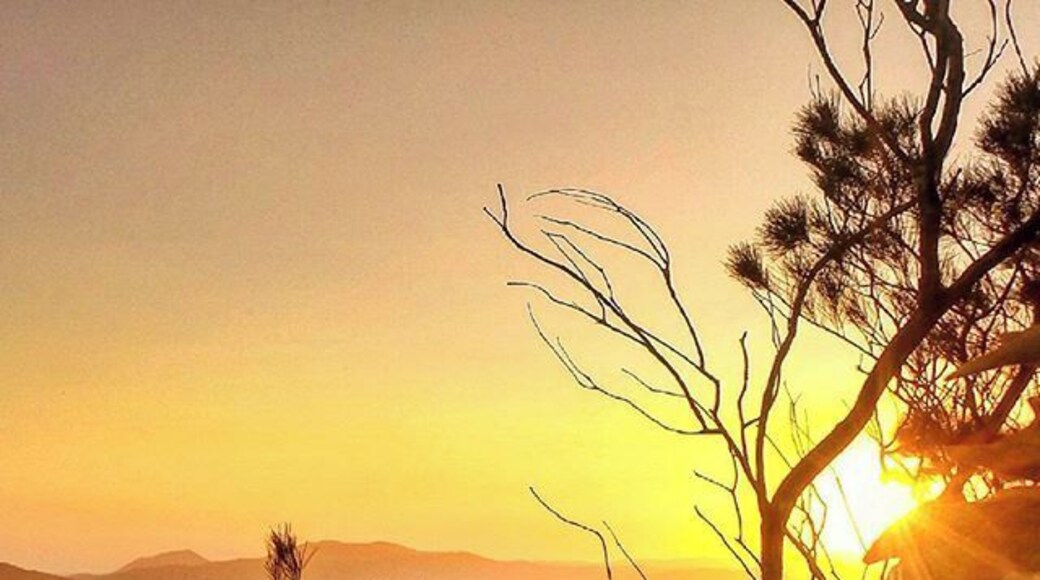 If you are into pretty hectic four wheel driving and adventure then head to this lookout/mountain when you are on the Mid North Coast of New South Wales Australia! It is a steep climb in your four wheel drive vehicle and not for the faint hearted but is only a short drive so worthwhile doing it if your keen. There is no actual lookout but a short scramble through the bush brings you to a very high rock ledge with this view! Lovely spot for sunset :)