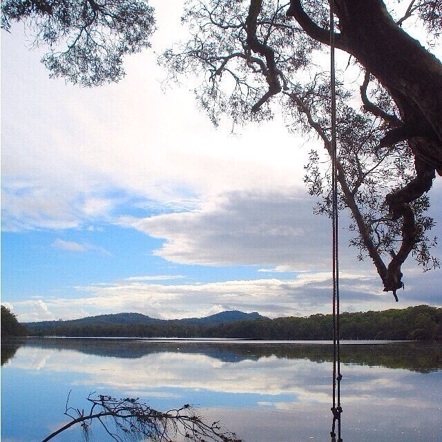 The Queens Lake walking trail can be accessed at any point around the lake, and is well worth the trek. We were here in May however can well imagine the kids playing on these rope swings in January/ February in the summer sun. Beautiful part of the NSW coast. 
#roadtrip 
