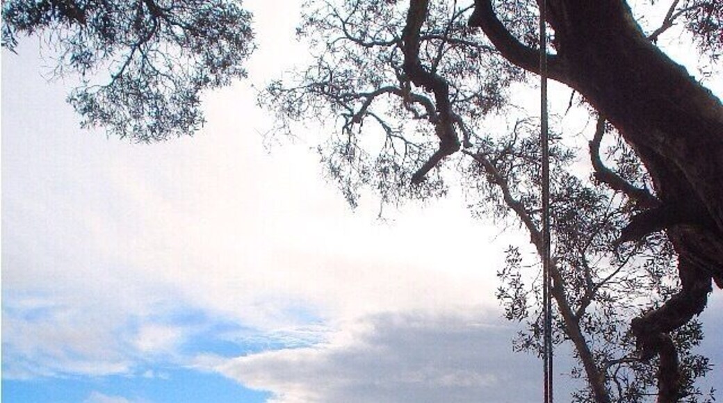 The Queens Lake walking trail can be accessed at any point around the lake, and is well worth the trek. We were here in May however can well imagine the kids playing on these rope swings in January/ February in the summer sun. Beautiful part of the NSW coast.
#roadtrip