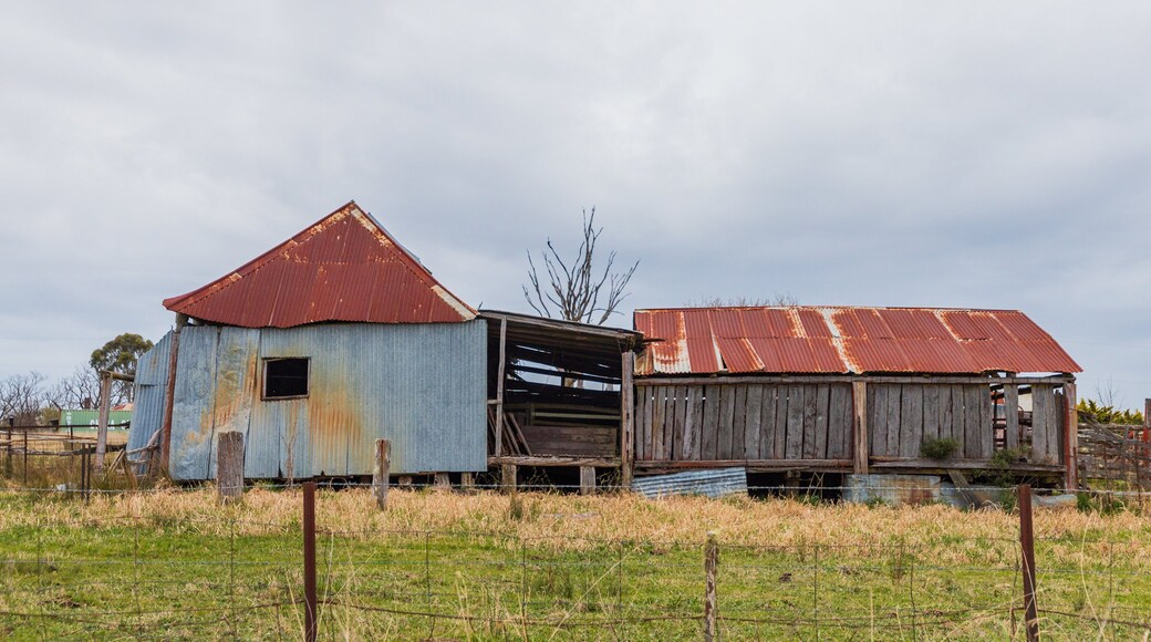 Dangarsleigh featuring farmland