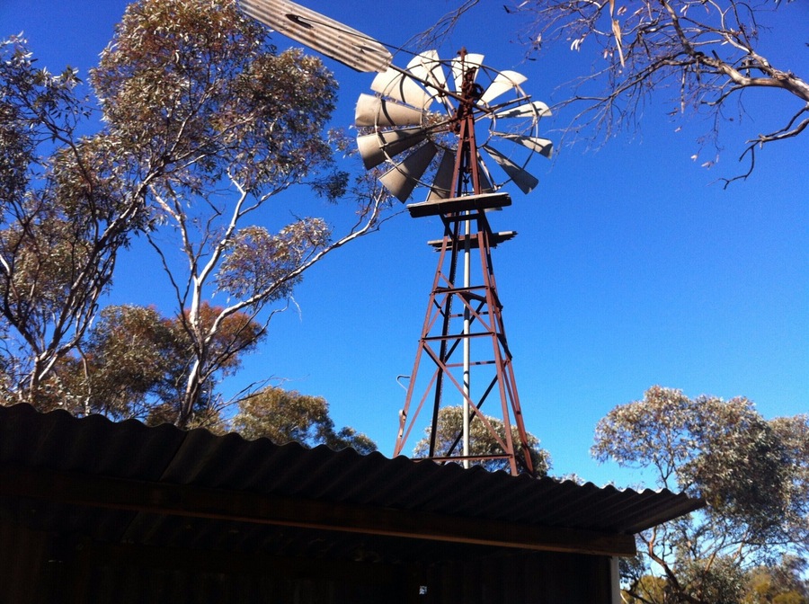 The windmill is an iconic image of the outback. And the view is made better with a clear blue sky and a gum tree or two. Even the corrugated iron roof is a lasting image of the bush. #colorful