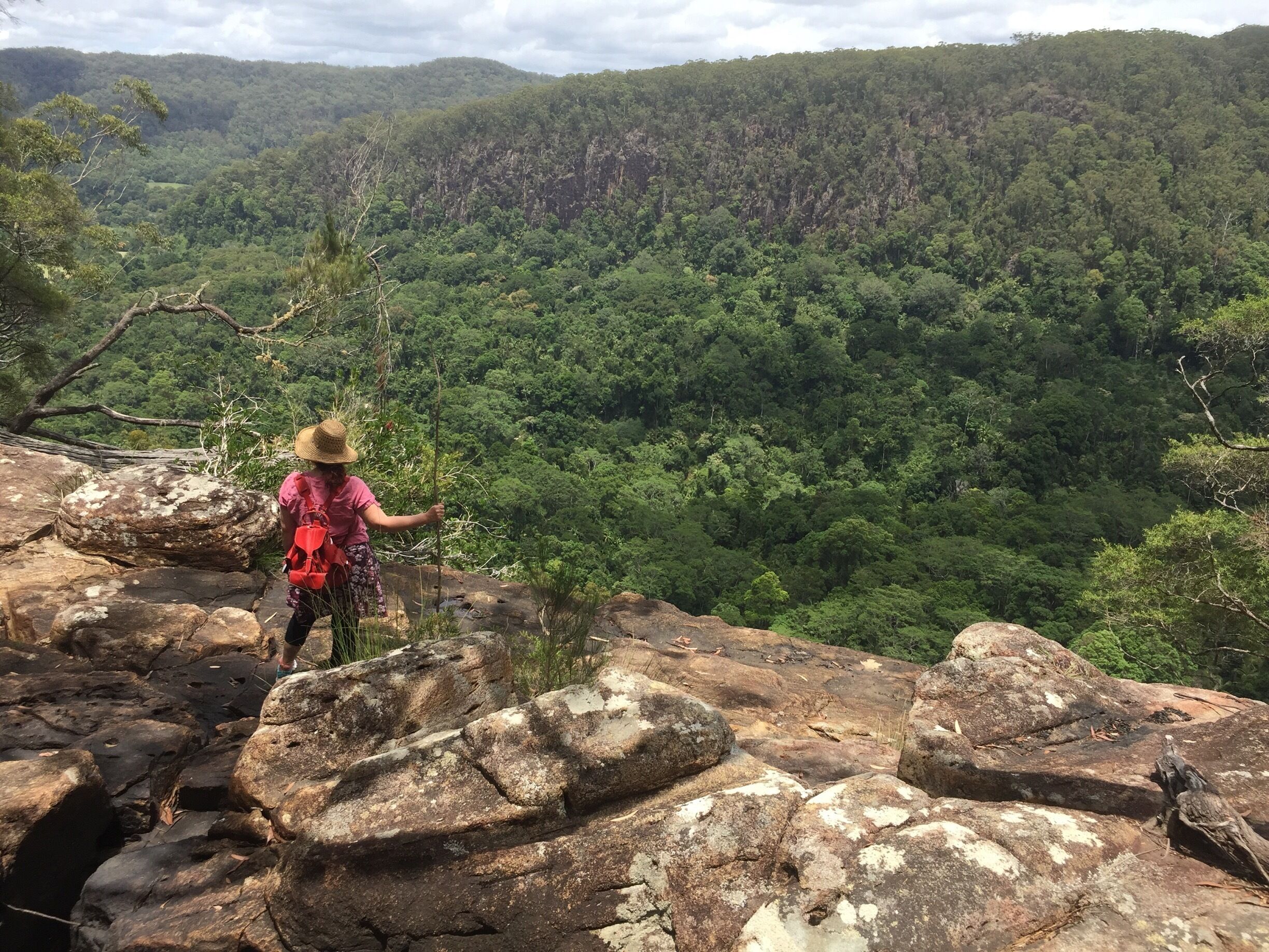 A hiker on a rocky outcrop overlooking a dense forest.