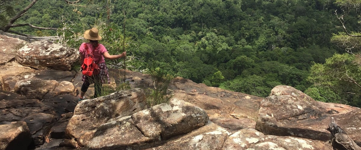 A hiker on a rocky outcrop overlooking a dense forest.