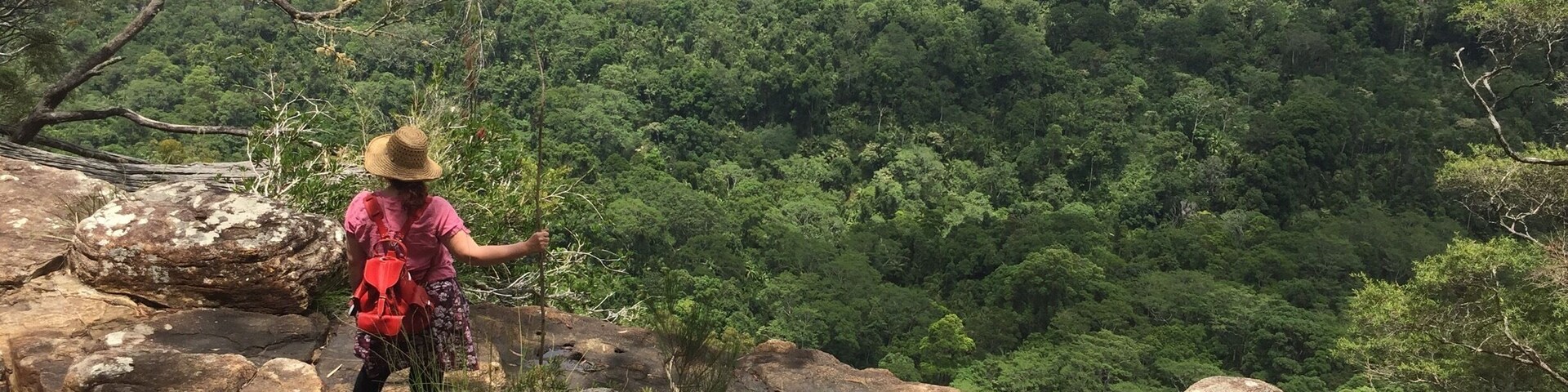 A hiker on a rocky outcrop overlooking a dense forest.