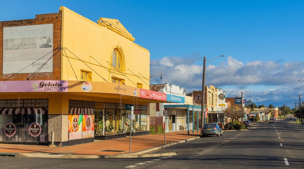 Werris Creek which includes a small town or village