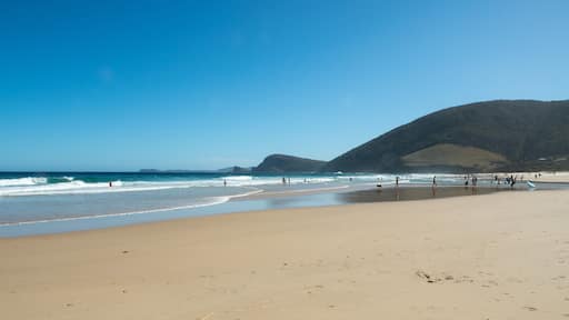 People on a beach at Seal Rocks in Australia