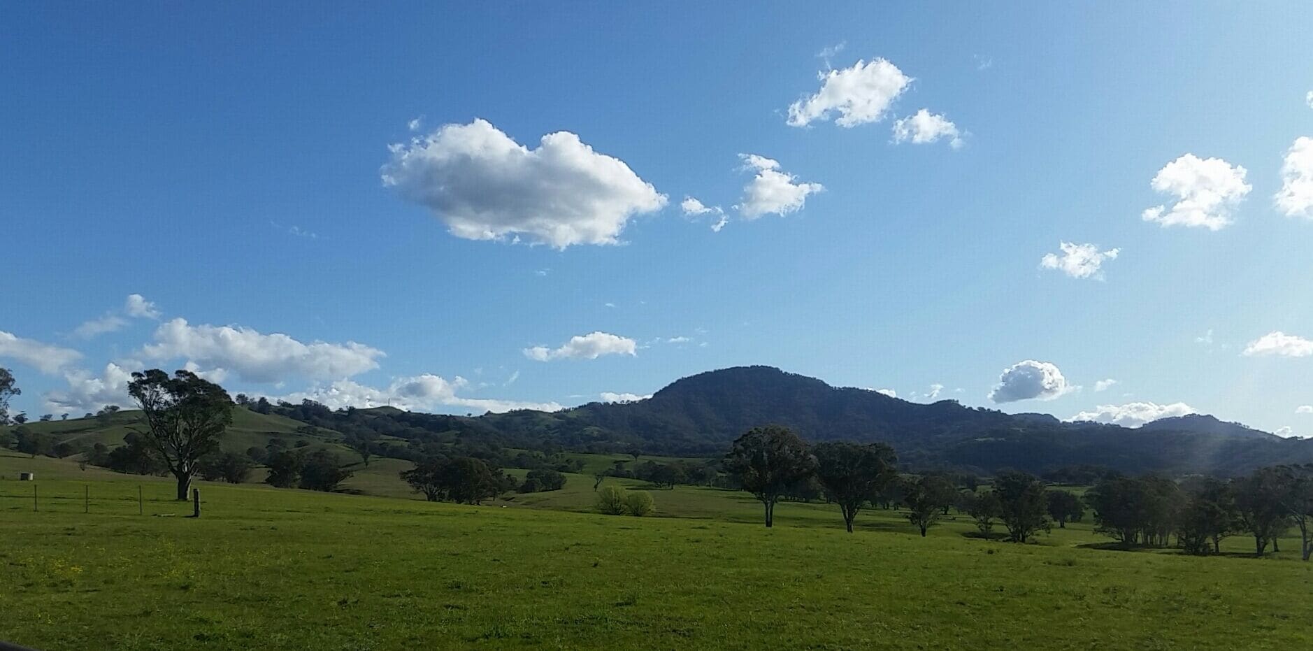 A grassy field with scattered trees and a mountain range in the background under a clear blue sky.