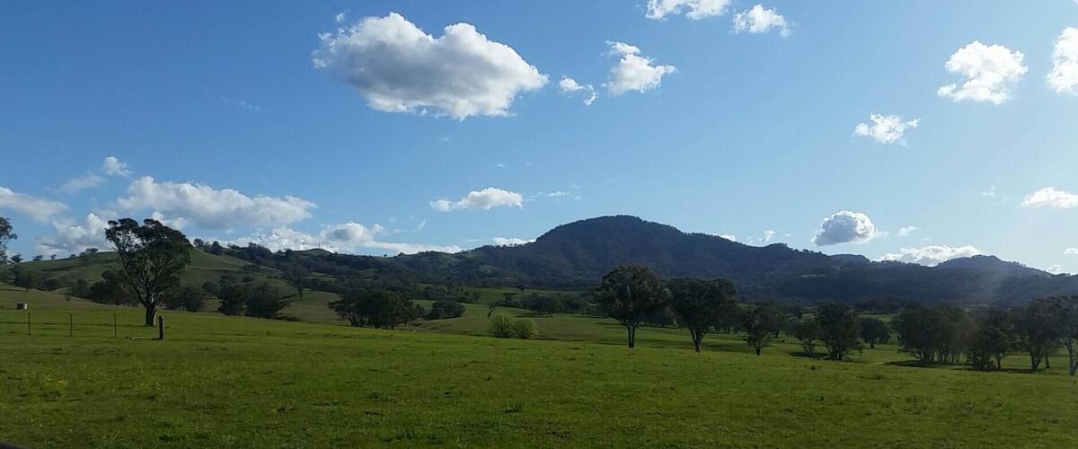 A grassy field with scattered trees and a mountain range in the background under a clear blue sky.