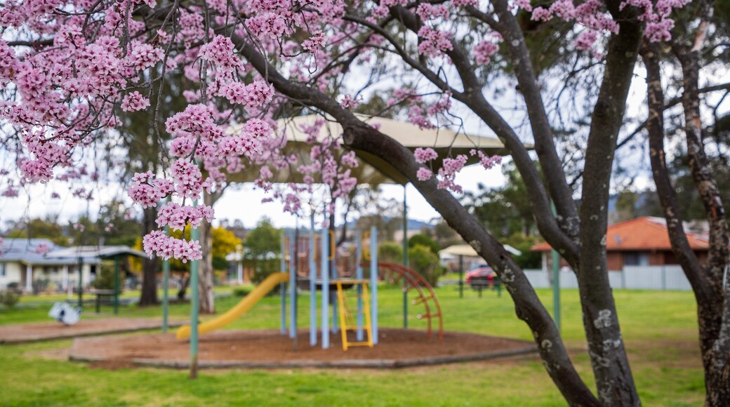 Moonbi showing wildflowers, a playground and a garden