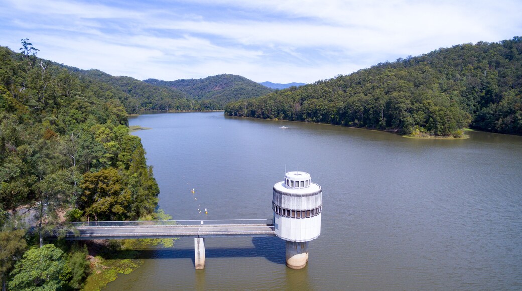 Lismore Heights