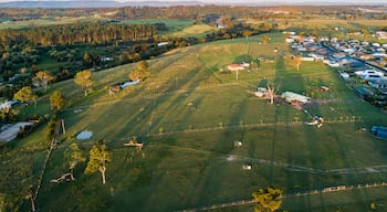 A rural landscape with rolling hills, a small village, and a dense forest in the distance.