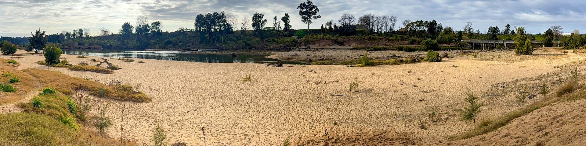A sandy beach with sparse vegetation, a river in the background, and a cloudy sky.