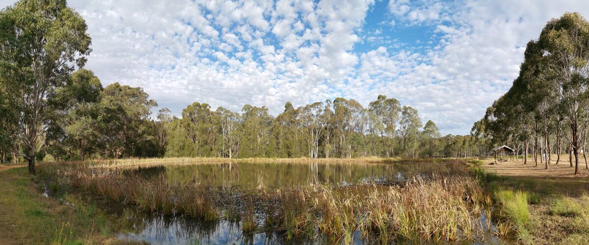 A serene lake surrounded by trees and a wooden structure.