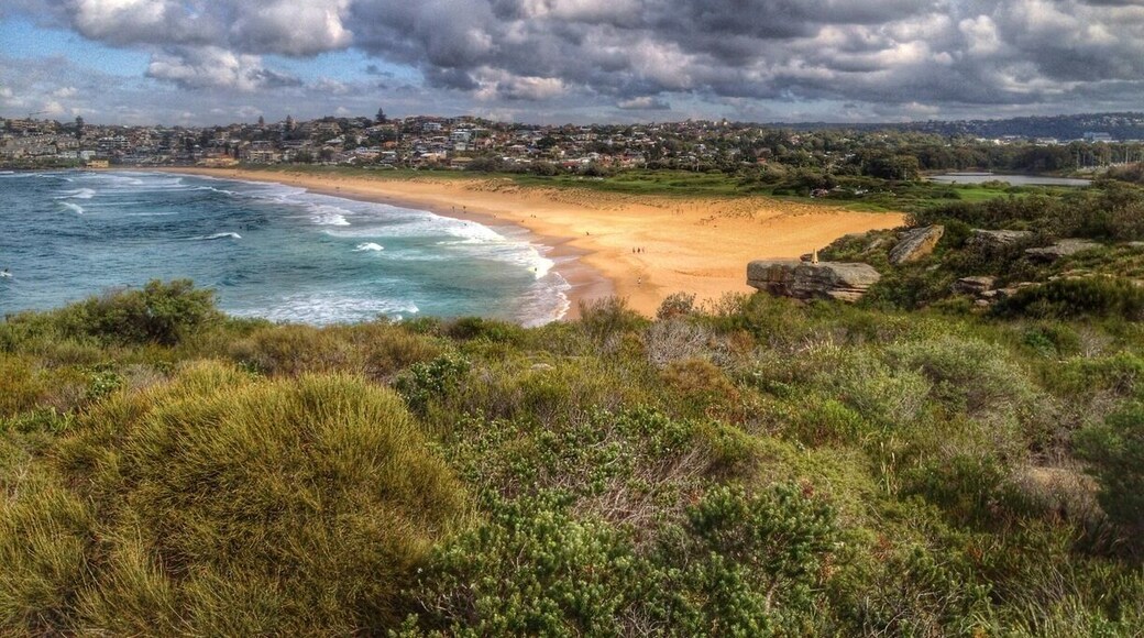 The Nature Trail from Curl Curl Beach to Dee Why will give you great beach and ocean views and you'll feel like the city is a million miles away. Start at Curl Curl Surf Life Saving Club and walk north through the headland. The walk is about 2km and the trail is easy to follow.