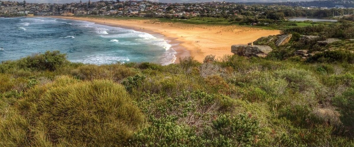 The Nature Trail from Curl Curl Beach to Dee Why will give you great beach and ocean views and you'll feel like the city is a million miles away. Start at Curl Curl Surf Life Saving Club and walk north through the headland. The walk is about 2km and the trail is easy to follow.