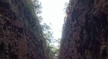 Hewn out of the living rock in the 1860s using hand tools and blasting powder, Big Hill Cutting was at one time the deepest railway cutting in the southern hemisphere. Taken as it was near the eastern end of the cutting, even this pic doesn't properly illustrate the depth.
The cutting has a long and macabre history, with several workers killed during its construction due to a blasting accident and several drivers later perishing after crashing their automobiles through the old timber bridge's guardrails and down onto the rails below. Despite the history, it's a peaceful and beautiful place.
The old railway line was abandoned in the 1970s and runs for around 50km between the towns of Thirlmere and Mittagong. Although not a proper rail trail, there are service trails parallelling the railway for much of its length. I've walked it a few times, including the trip pictured which was undertaken 2-Boot-Drive Swagman style ;-)