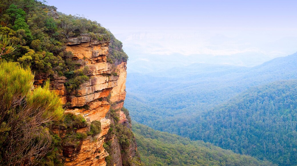 A canyon with steep cliffs and dense forest.