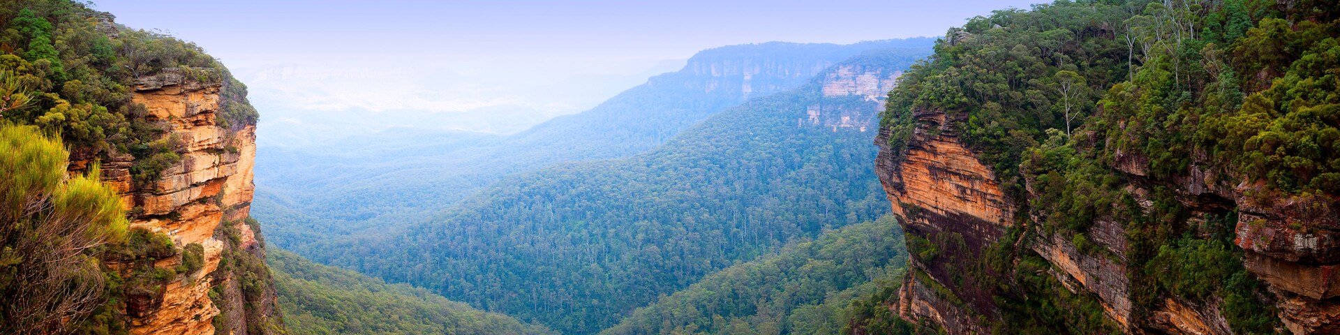 Um cânion com penhascos íngremes e floresta densa.