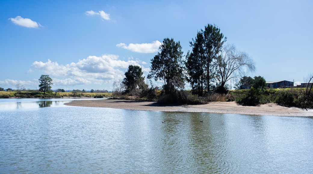 A calm river with trees and a clear sky.