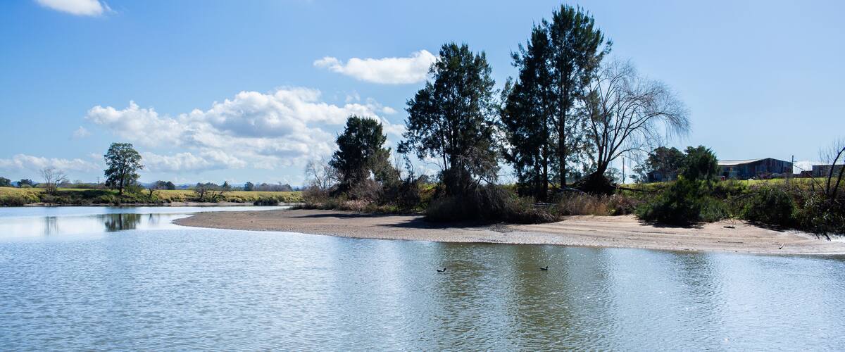 A calm river with trees and a clear sky.