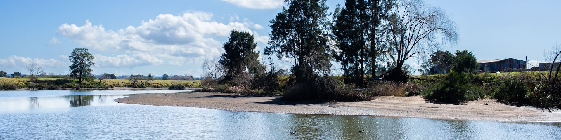 A calm river with trees and a clear sky.