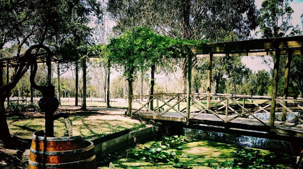 One of the lovely spots in the Hunter region, NSW Australia.
#RoadTrip #Australia #NSW