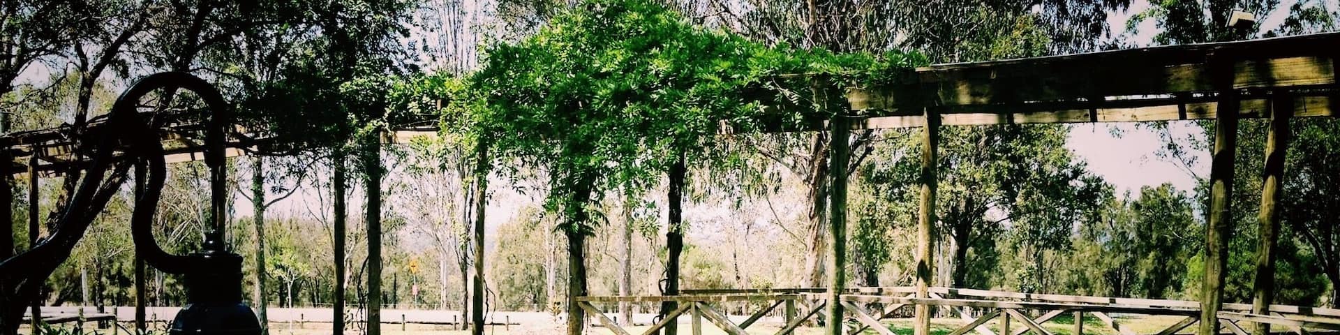 One of the lovely spots in the Hunter region, NSW Australia.
#RoadTrip #Australia #NSW