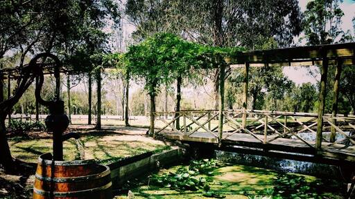 One of the lovely spots in the Hunter region, NSW Australia.
#RoadTrip #Australia #NSW