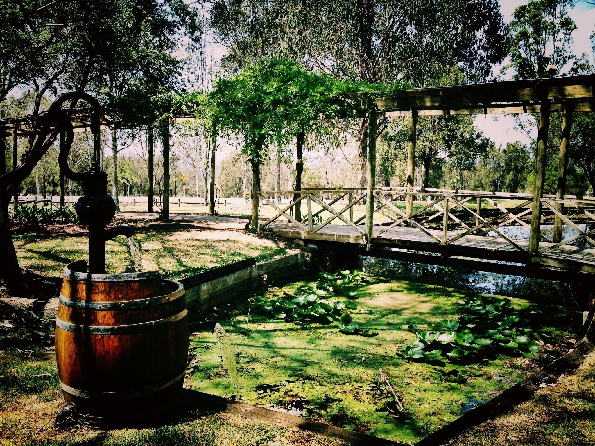 A rustic wooden bridge over a pond with lily pads, surrounded by trees and a wooden barrel.