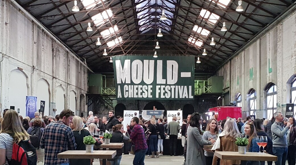 Mould cheese festival