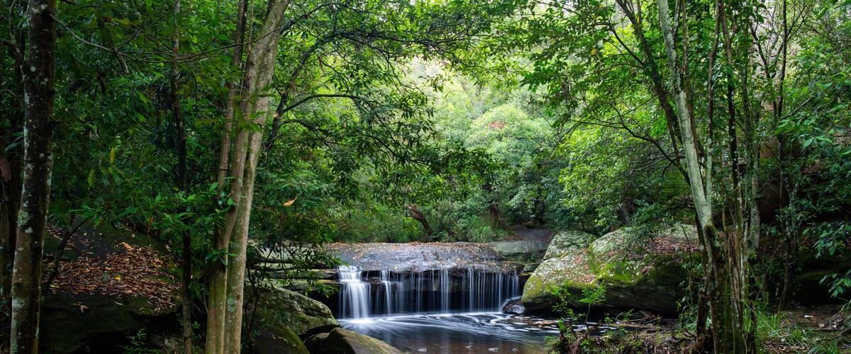 Terry's Creek waterfall, a beautiful small waterfall at Epping, Sydney, Australia.