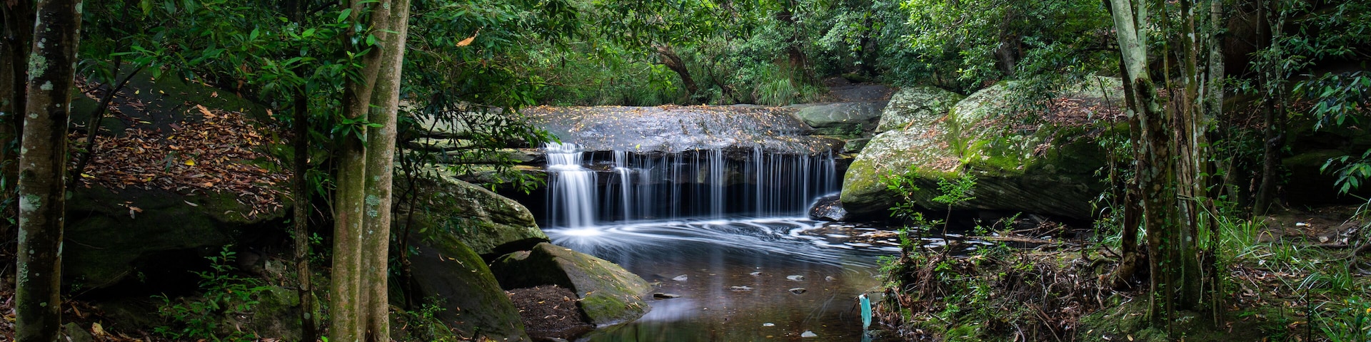 Terry's Creek waterfall, a beautiful small waterfall at Epping, Sydney, Australia.