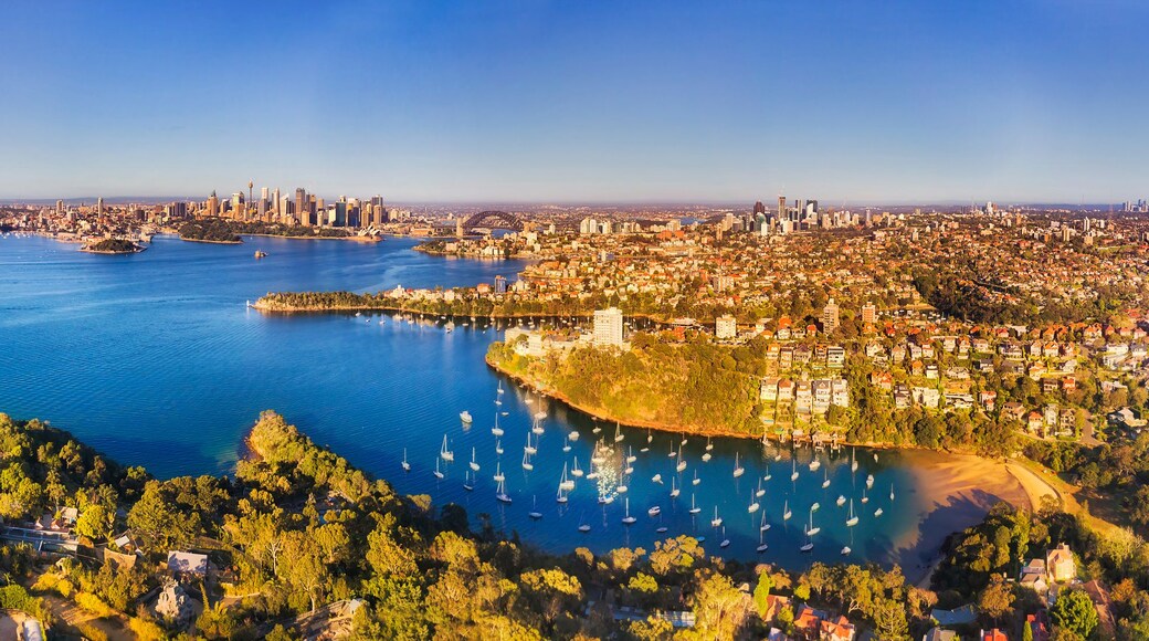 A coastal cityscape with a bay, numerous sailboats, and a prominent bridge.