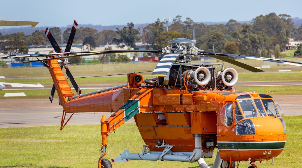 A large orange helicopter with a propeller on a grassy field.