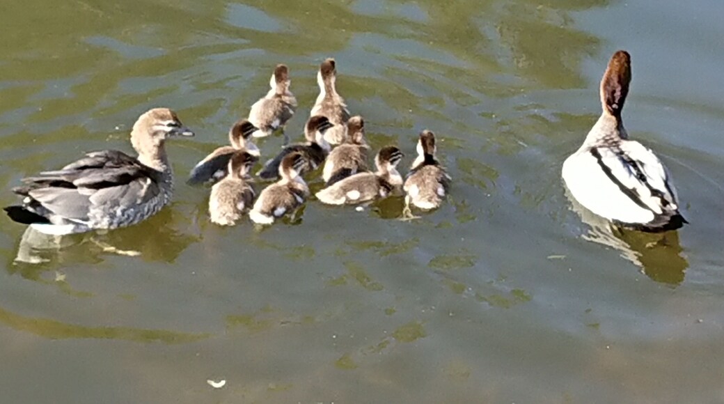 Mum and Dad not too happy to see me