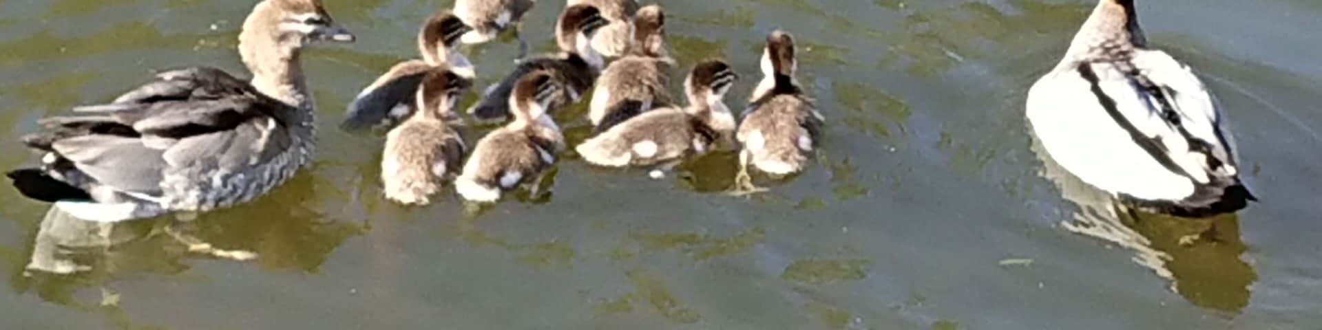 Mum and Dad not too happy to see me