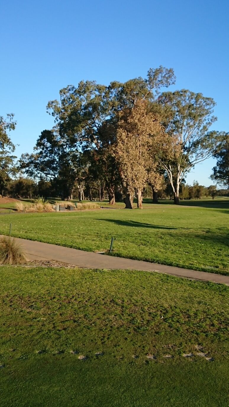 Perfect light late in the afternoon