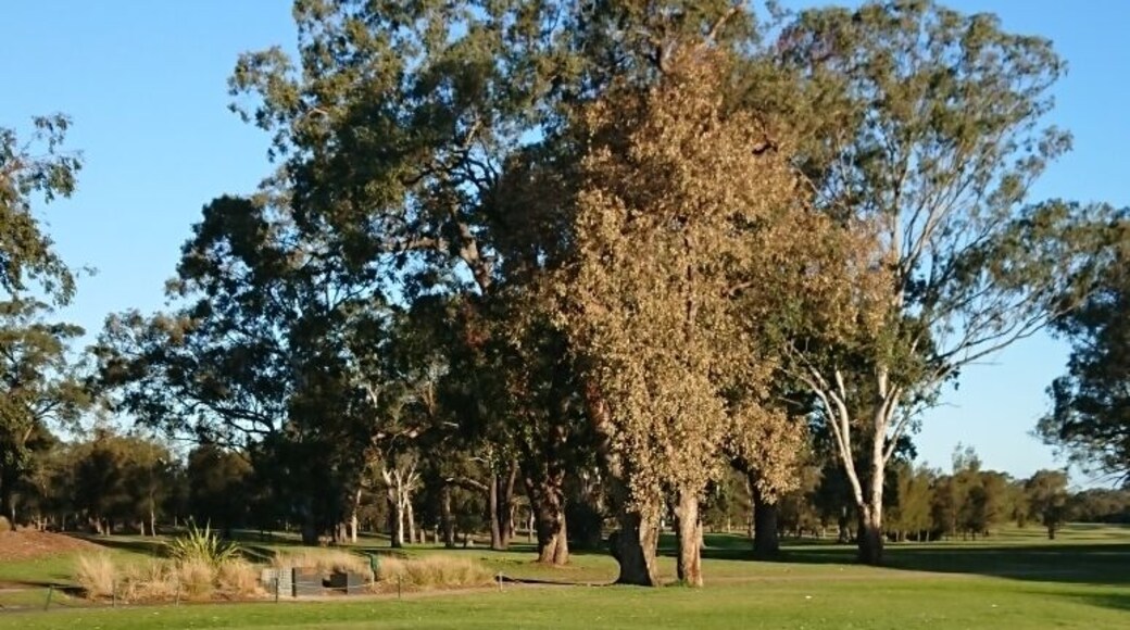 Perfect light late in the afternoon