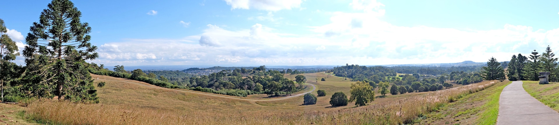 Un paysage vallonné, avec une route sinueuse, de nombreux arbres et un ciel dégagé.