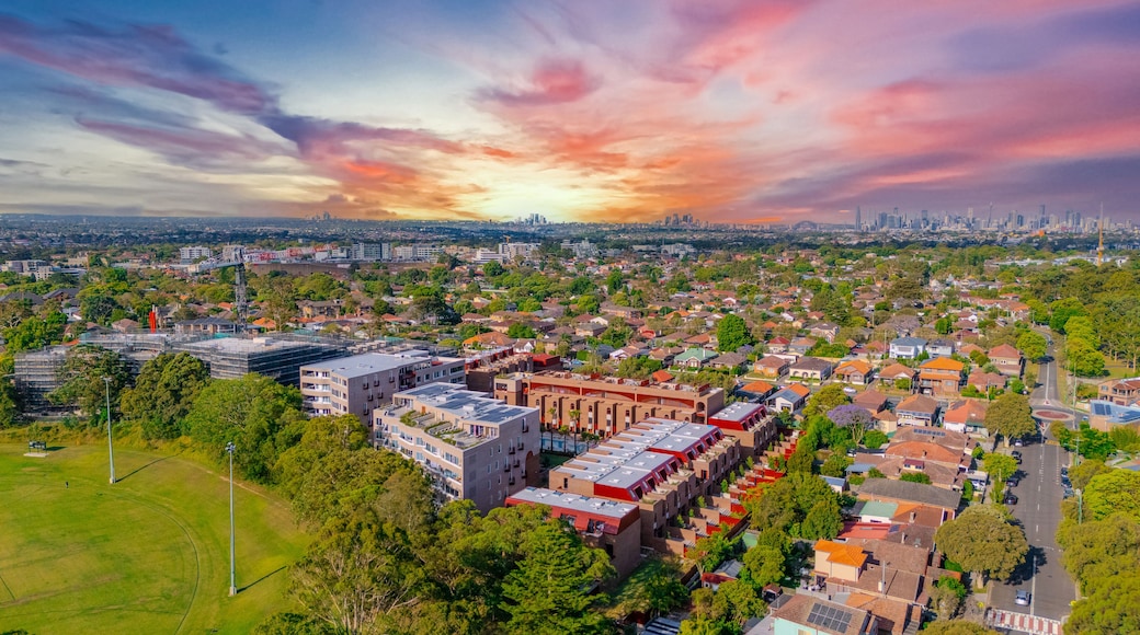 Aerial Panorama Drone View of a inner western Sydney Suburb of Ashbury Urban Sprawl and the terracotta roof tops streets and trees of Suburban Sydney NSW Australia