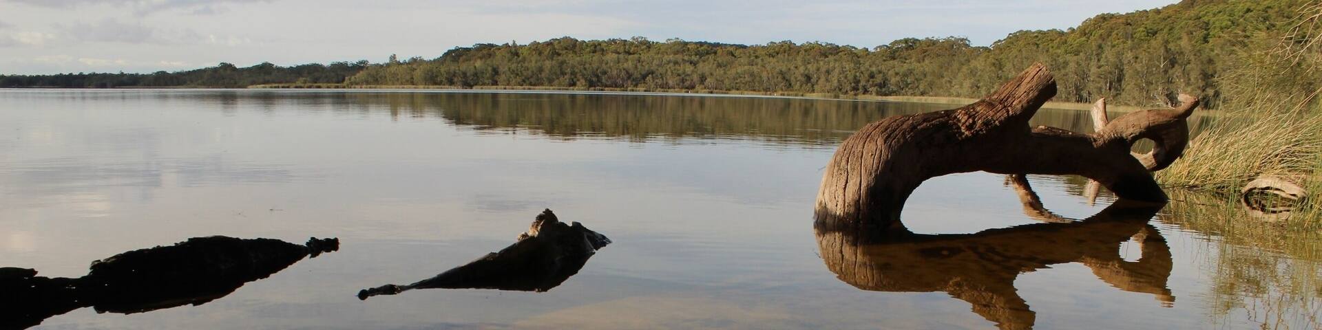 Spent a week camping at Myall Lake. A great place for some peace and quiet. Also spotted heaps of kangaroos!