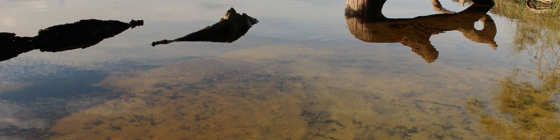 Spent a week camping at Myall Lake. A great place for some peace and quiet. Also spotted heaps of kangaroos!
